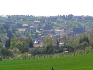 Ortsgemeinde Monzingen 
